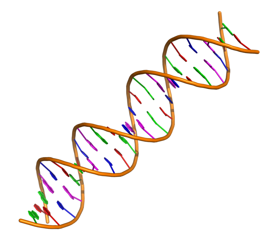 Detail Dna Pics Nomer 58