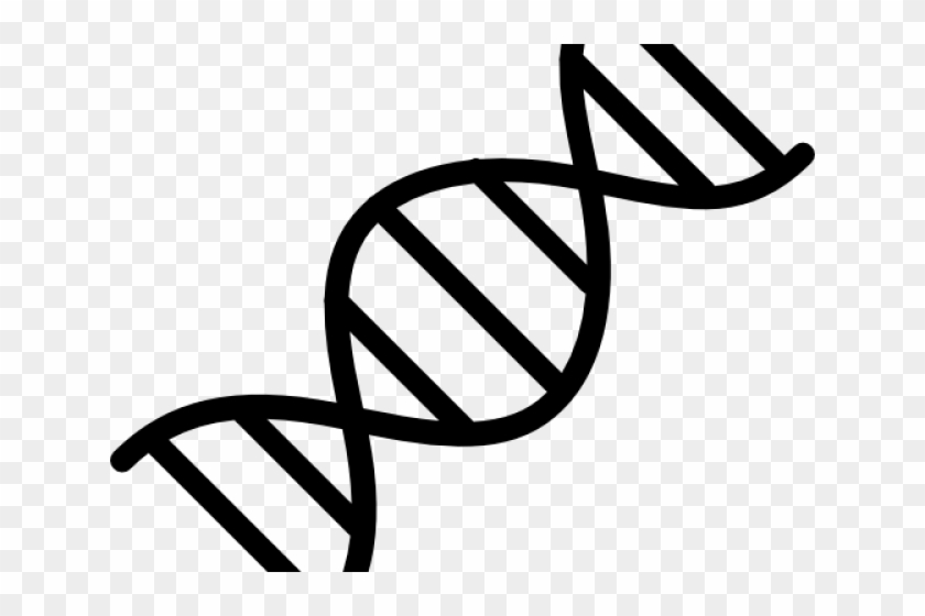 Detail Dna Png Transparent Nomer 16