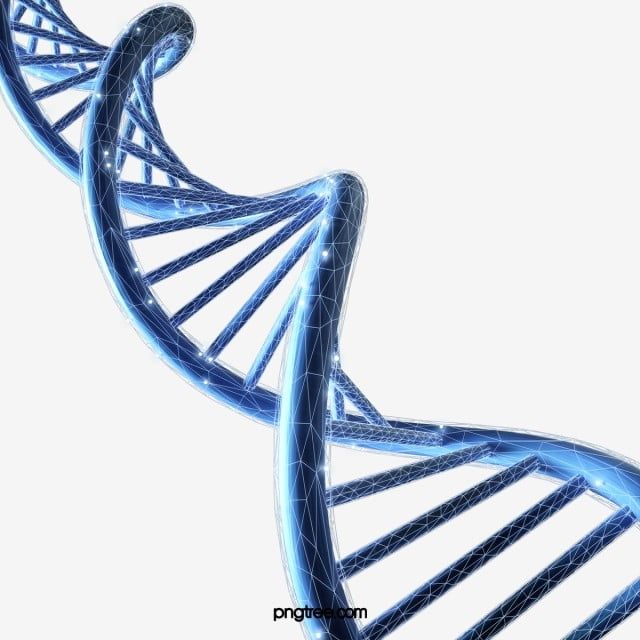 Detail Dna Png Transparent Nomer 19