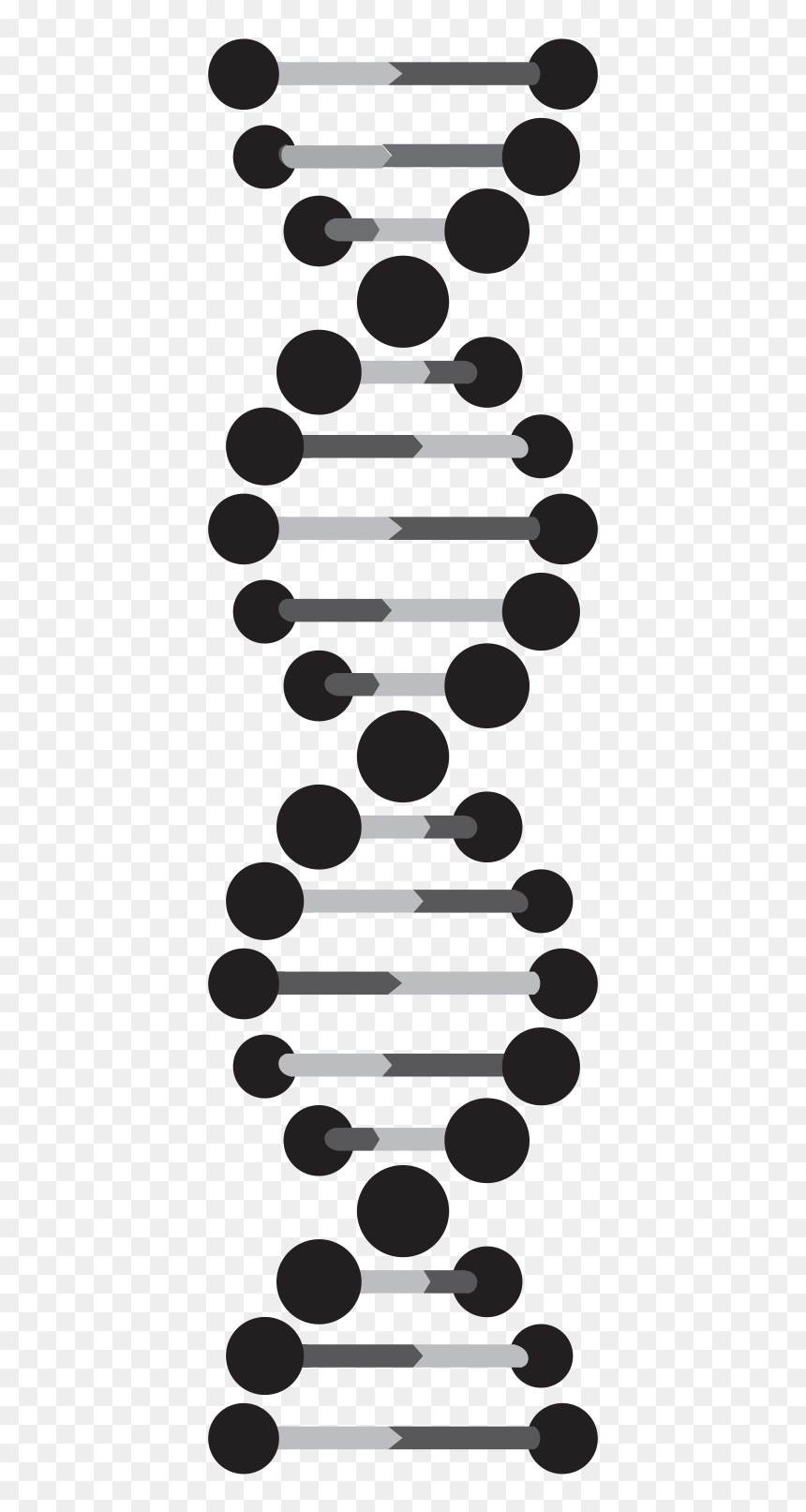 Detail Dna Png Transparent Nomer 41