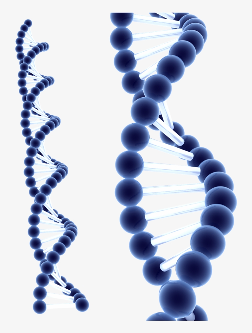 Detail Dna Png Transparent Nomer 44