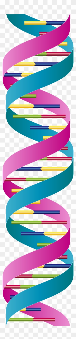 Detail Dna Strand Clipart Nomer 19