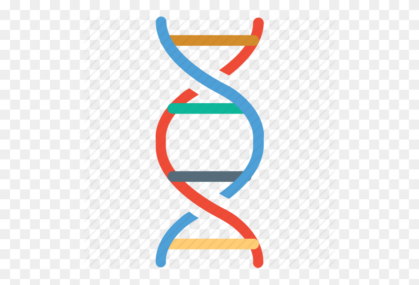 Detail Dna Strand Clipart Nomer 45