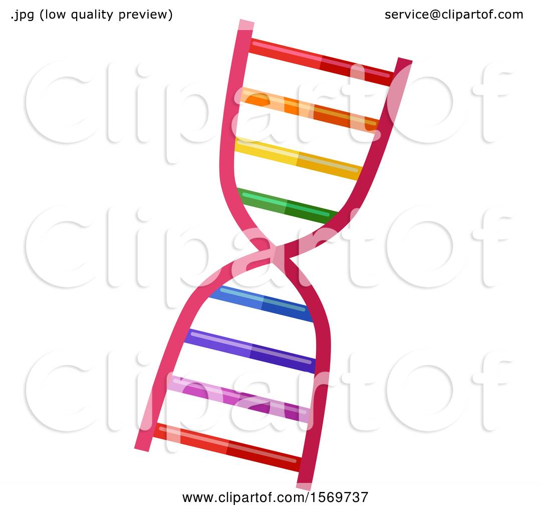 Detail Dna Strand Clipart Nomer 52