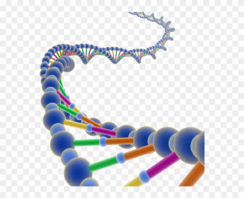 Detail Dna Strand Png Nomer 20