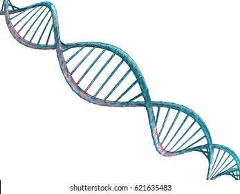 Dna Strand Transparent Background - KibrisPDR