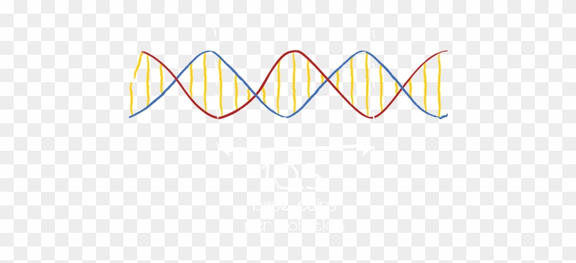 Detail Dna Strand Transparent Background Nomer 32