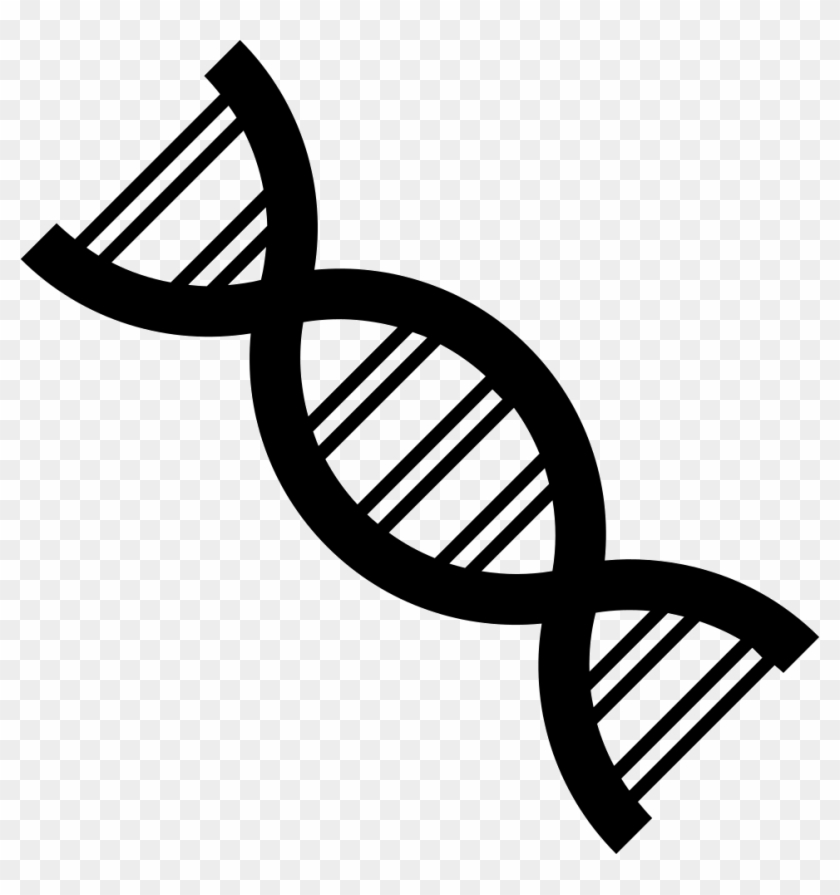 Detail Dna Strand Transparent Background Nomer 40