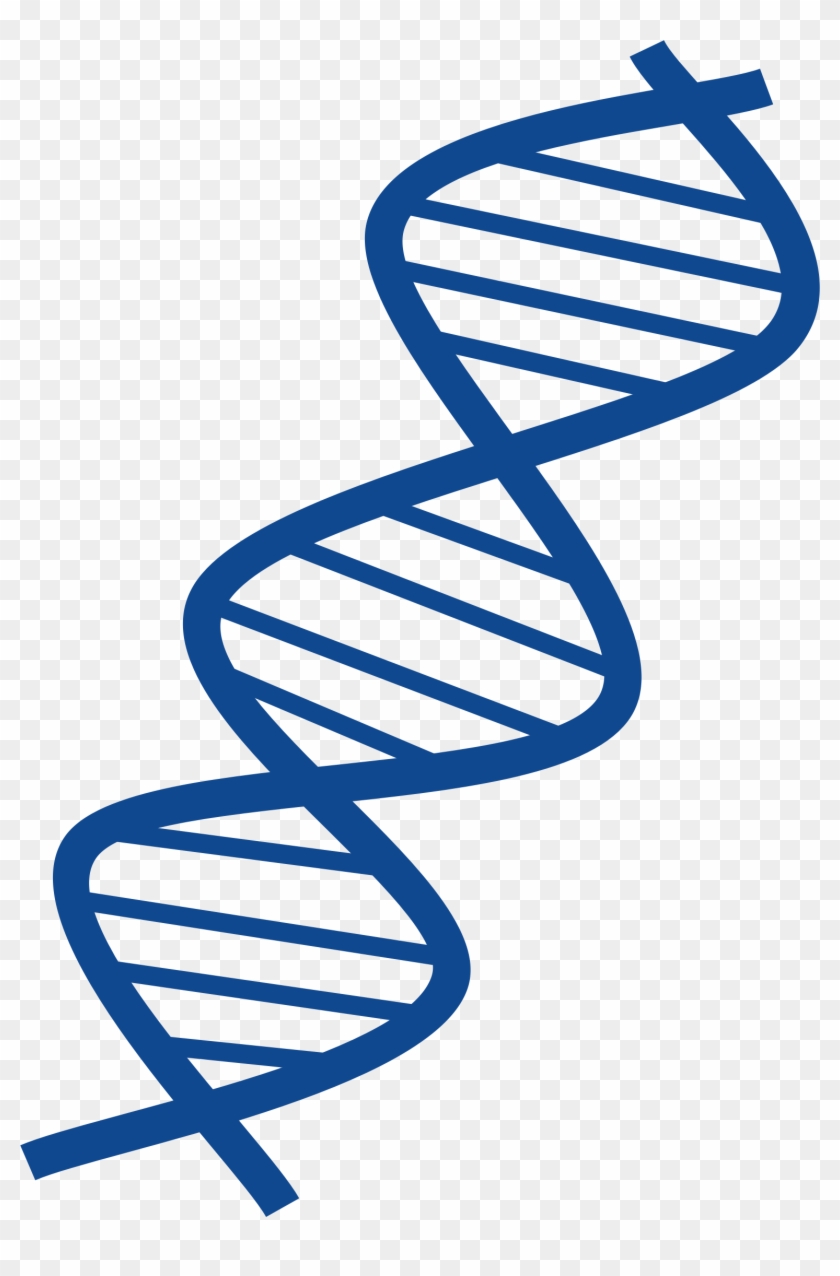 Detail Dna Transparent Nomer 14