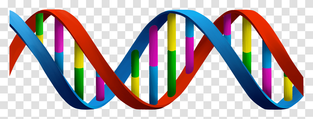 Detail Dna Transparent Nomer 23