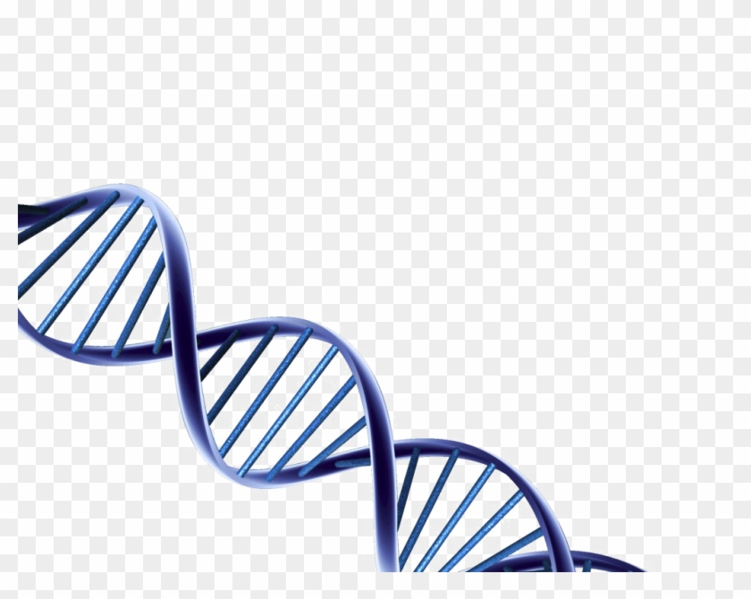 Detail Dna Transparent Nomer 28