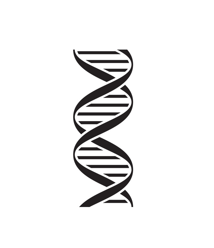 Detail Dna Transparent Nomer 41