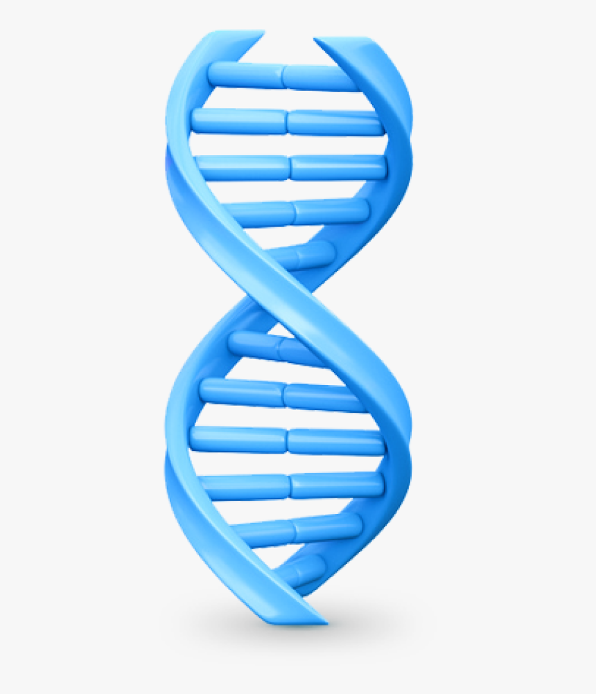 Detail Dna Transparent Nomer 42
