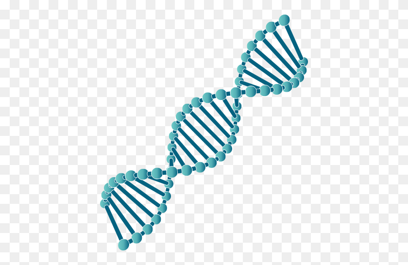 Detail Dna Transparent Nomer 55