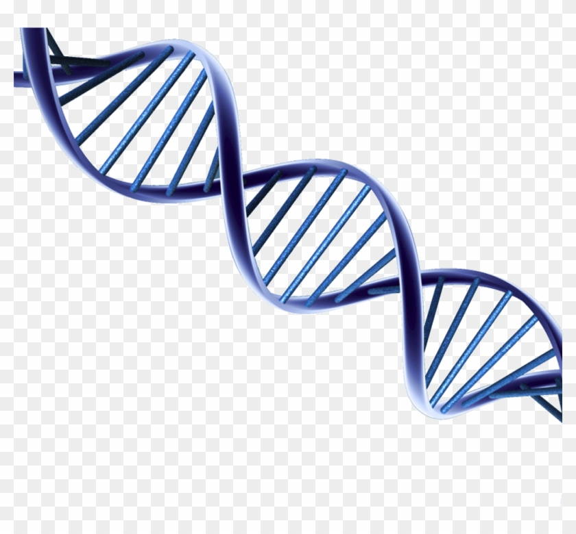 Detail Dna Transparent Nomer 7