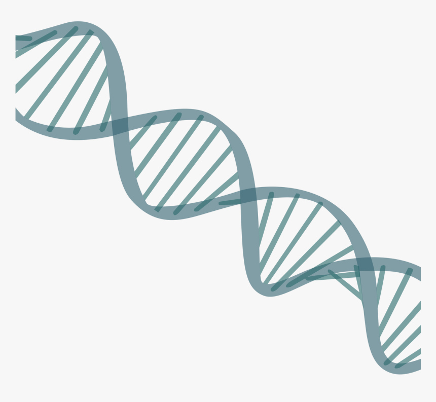 Detail Dna Transparent Nomer 8