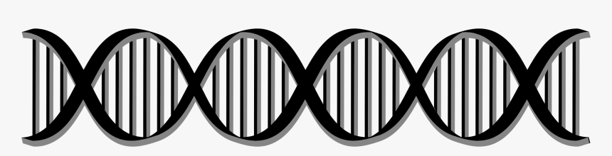 Detail Dna Transparent Background Nomer 48
