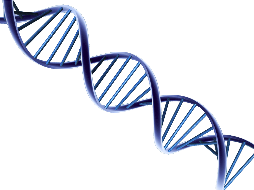 Detail Dna Transparent Background Nomer 9