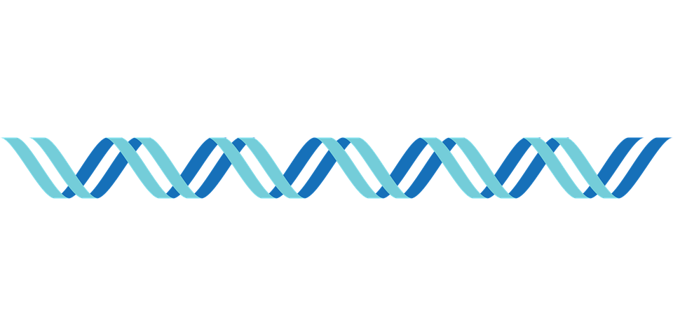 Detail Dna Vector Png Nomer 10