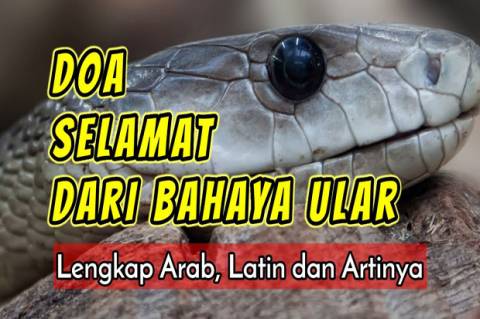 Detail Doa Agar Rumah Terhindar Dari Ular Nomer 8