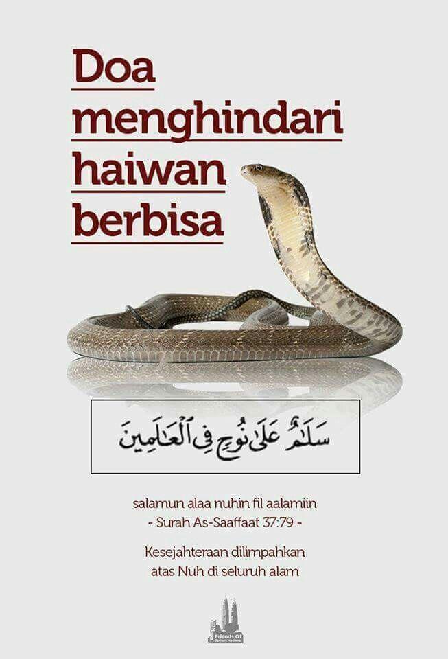 Pencegahan: Agar Ular Tidak Masuk Rumah Lagi
