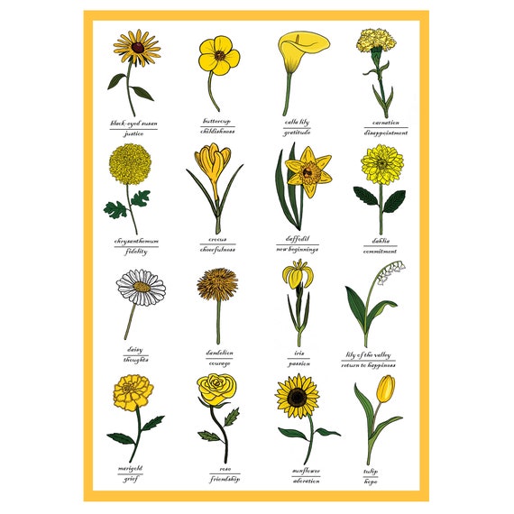 Gelbe Blumen Name 21+ Koleksi Gambar