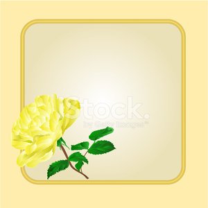 Detail Goldene Rosen Nomer 18
