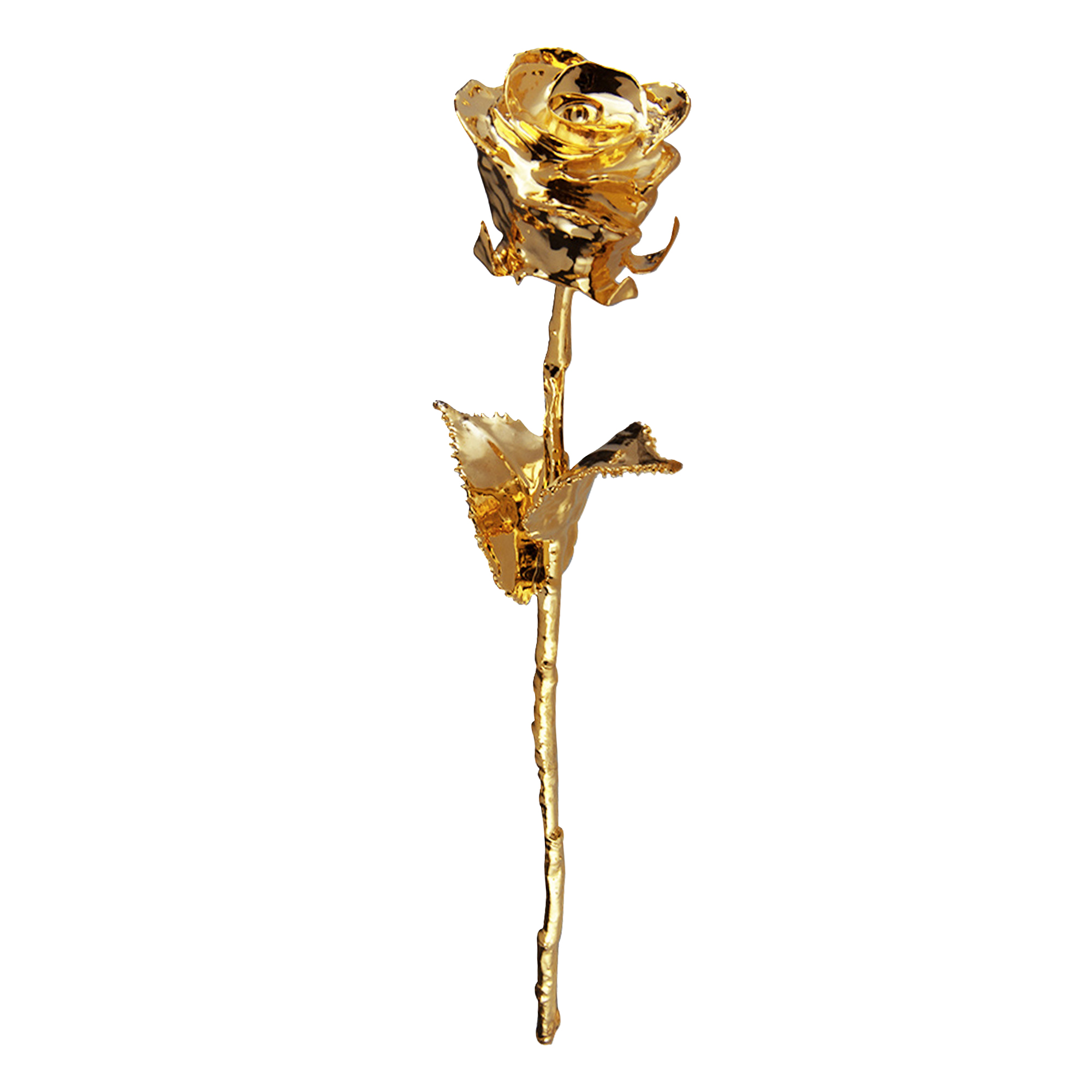 Detail Goldene Rosen Nomer 6