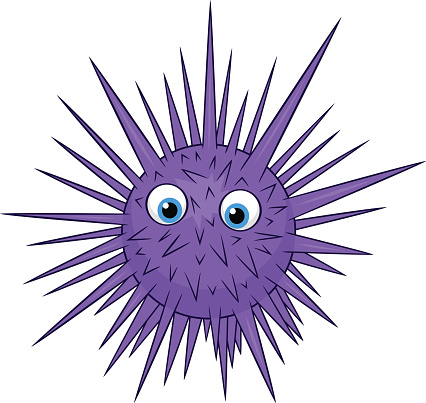 Detail Sea Urchin Cartoon Nomer 13