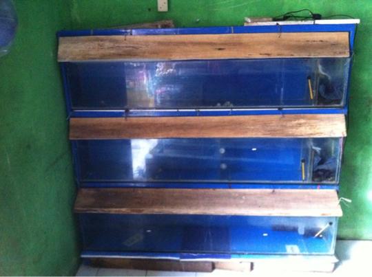 Detail Rak Aquarium 2 Tingkat Dari Kayu Nomer 47