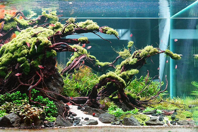 Detail Rak Aquascape Nomer 3