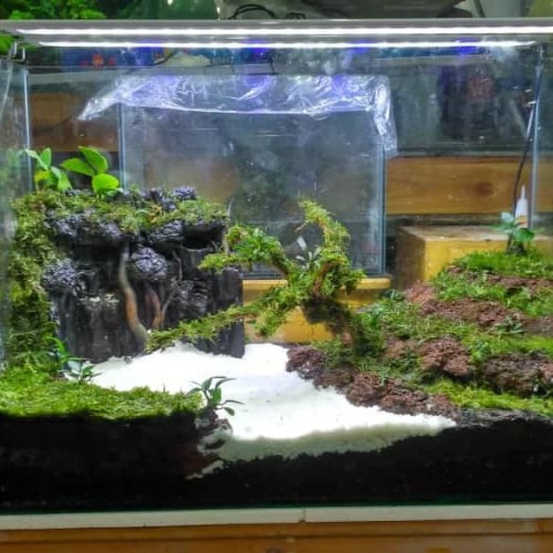 Detail Rak Aquascape Nomer 16