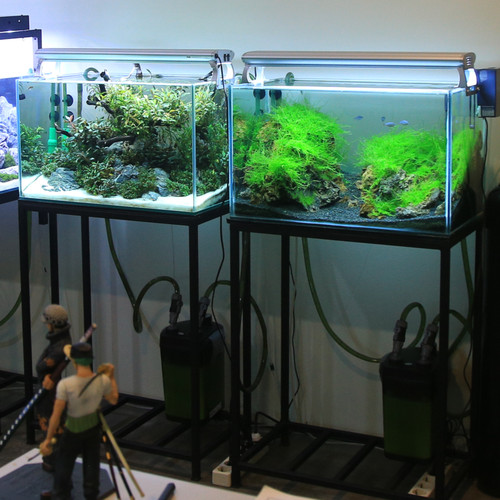 Detail Rak Aquascape Nomer 4