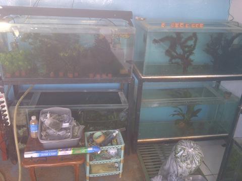 Detail Rak Aquascape Nomer 27