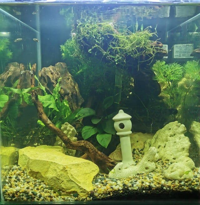 Detail Rak Aquascape Nomer 28