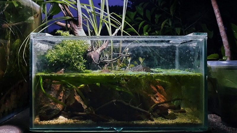 Detail Rak Aquascape Nomer 6