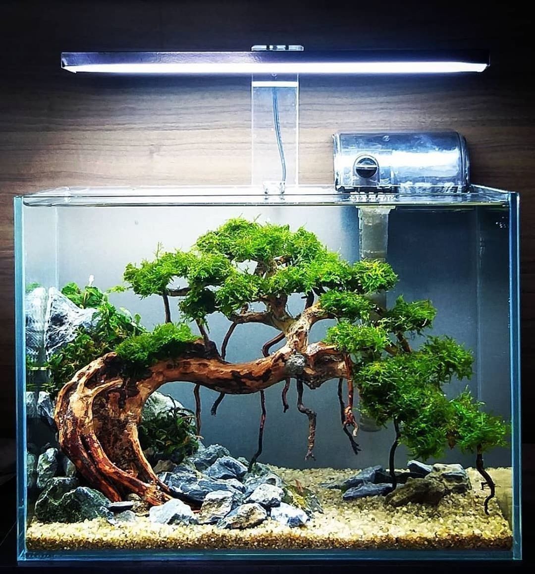 Detail Rak Aquascape Nomer 41