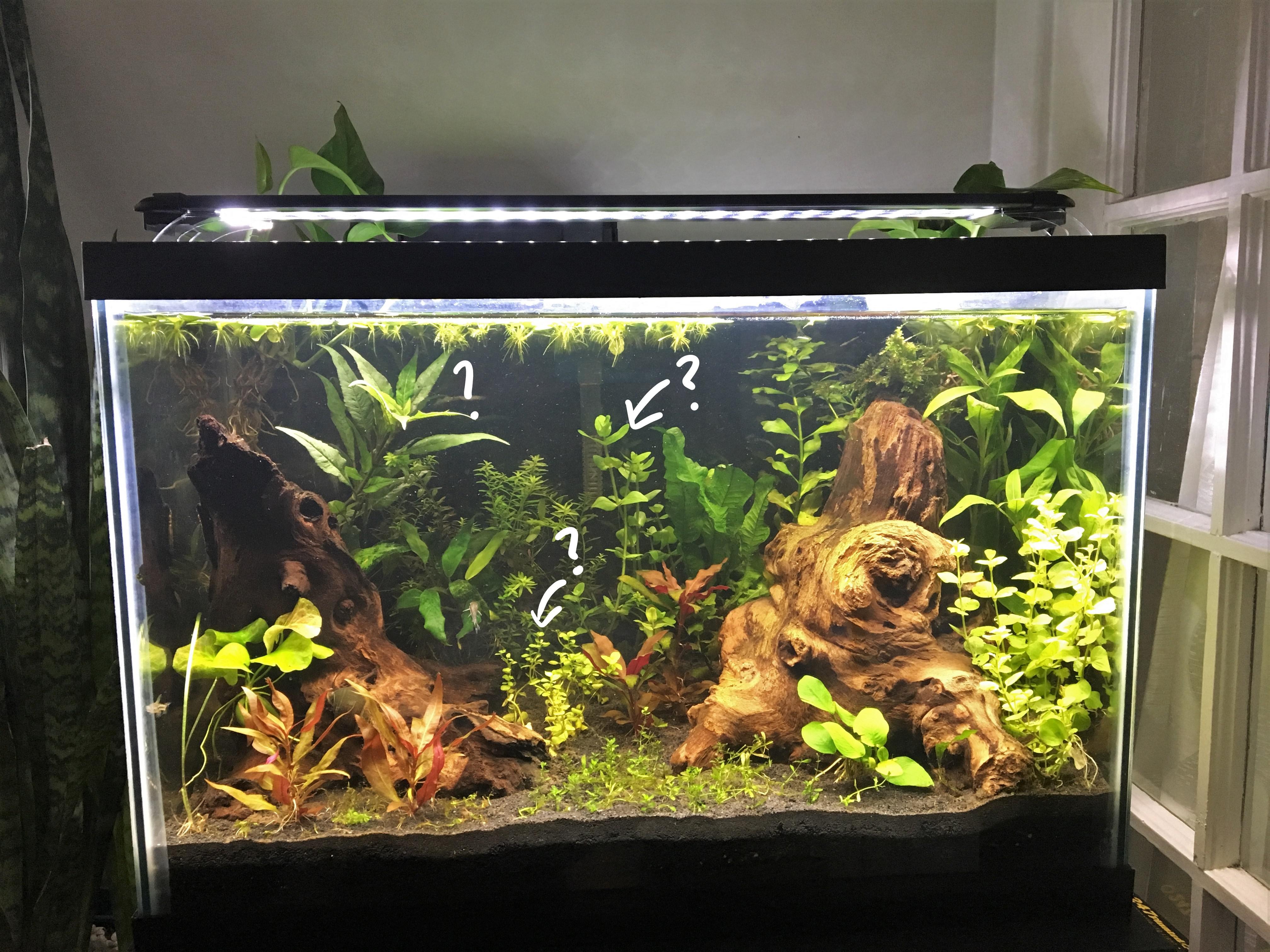 Detail Rak Aquascape Nomer 47