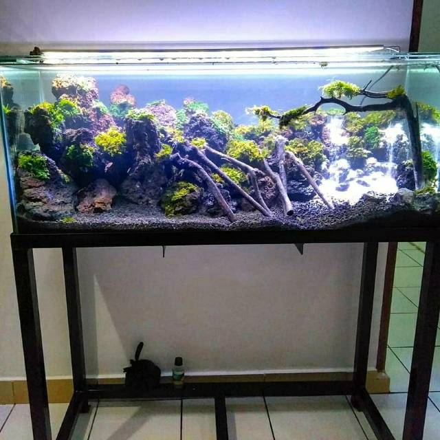 Detail Rak Aquascape Nomer 8