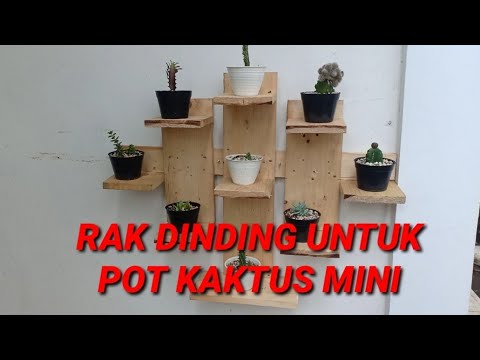 Detail Rak Kaktus Dari Kayu Nomer 5