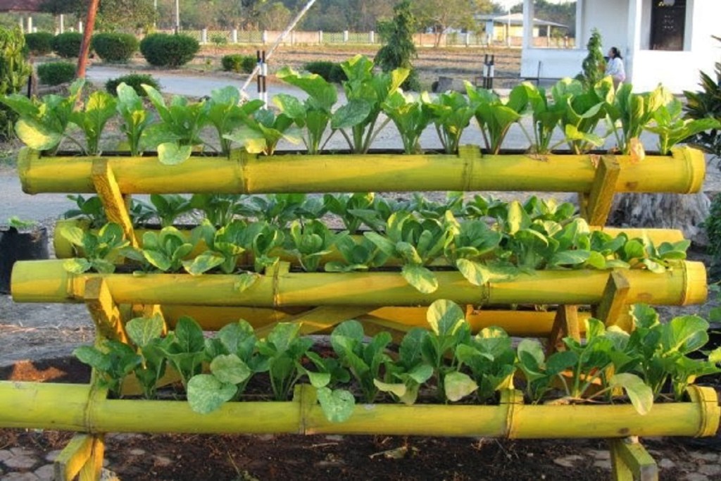 Detail Rak Tanaman Sayur Dari Bambu Nomer 14