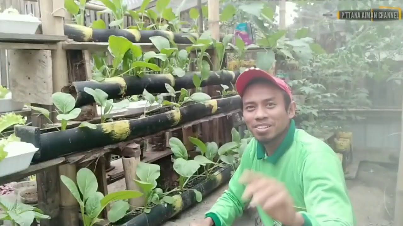 Detail Rak Tanaman Sayur Dari Bambu Nomer 22