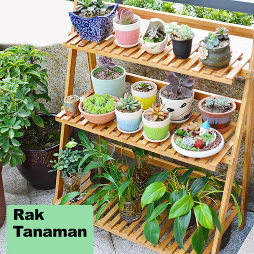 Detail Rak Tanaman Sayur Dari Bambu Nomer 26