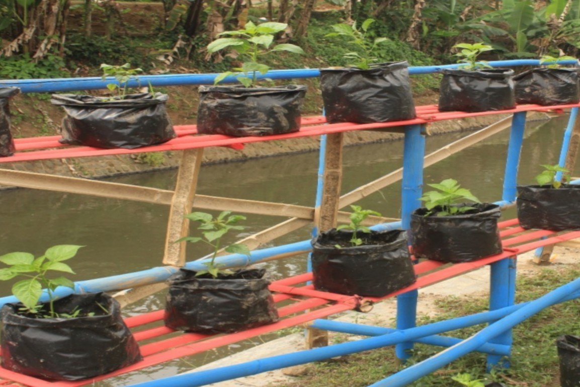 Detail Rak Tanaman Sayur Dari Bambu Nomer 28