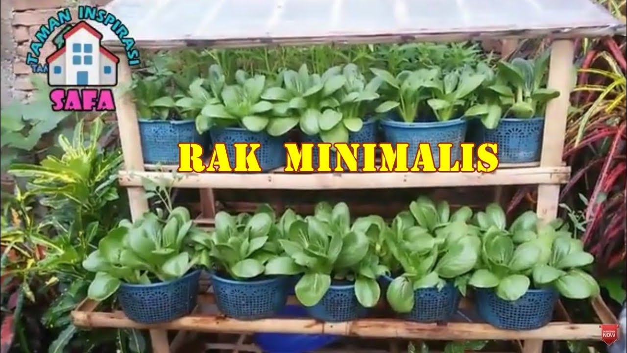 Detail Rak Tanaman Sayur Dari Bambu Nomer 6