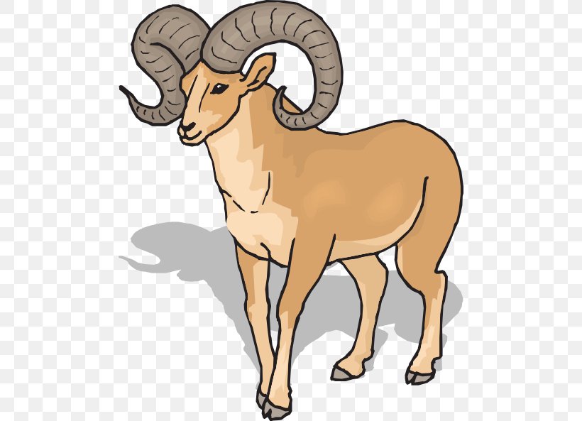 Detail Ram Animal Png Nomer 22