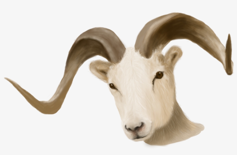 Detail Ram Animal Png Nomer 5