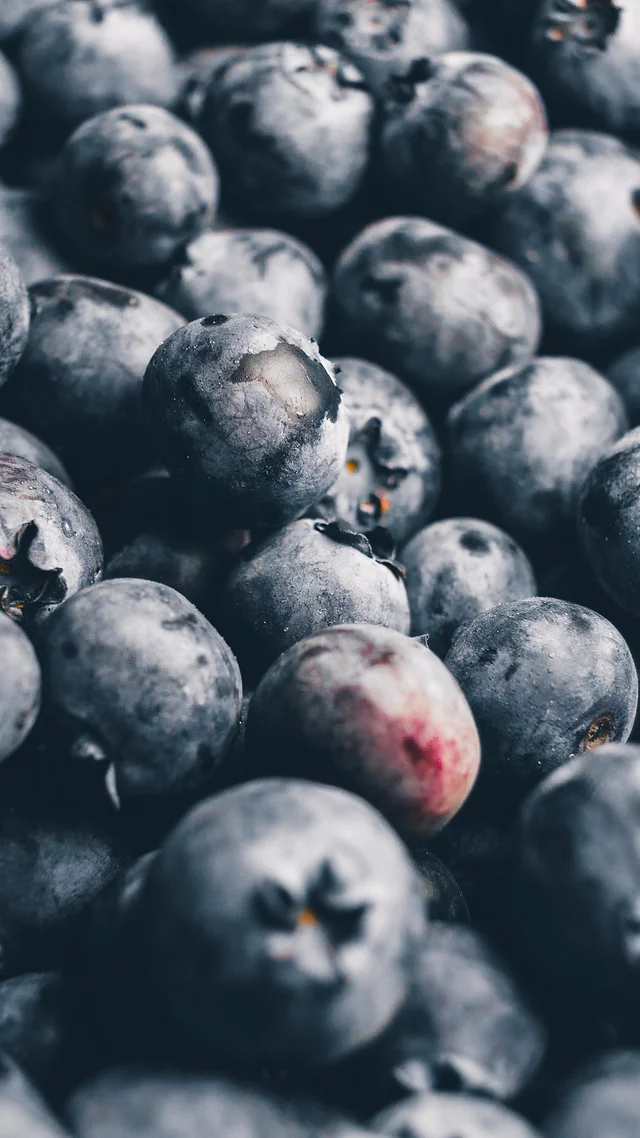 Detail Rambo Blueberries Nomer 6