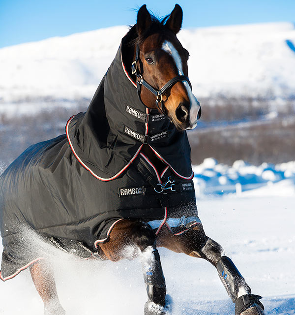 Rambo Horse Blanket - KibrisPDR