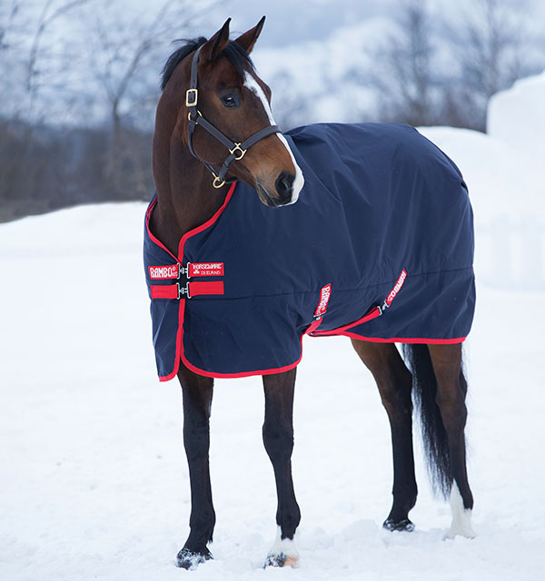 Detail Rambo Horse Blanket Nomer 2